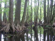 Drawski i Iński park krajobrazowy fot. Gmina Borne Sulinowo