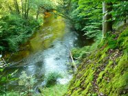 Drawieński Park Narodowy fot. Gmina Drawno