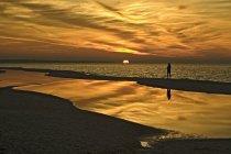 Grzybowo fot. Gmina Kołobrzeg