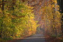 Szczeciński Park Krajobrazowy fot. Robert Stachnik
