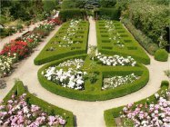 Ogrody tematyczne Hortulus w Dobrzycy fot. RCIT Koszalin