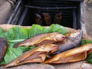 Jadło średniowieczne